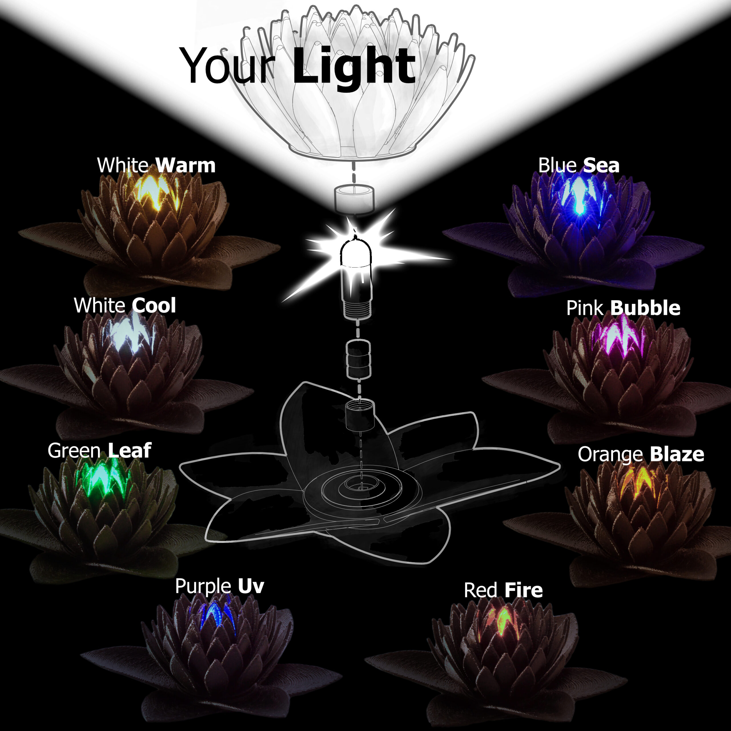 Luz de Loto Negra Ónice - Image 4