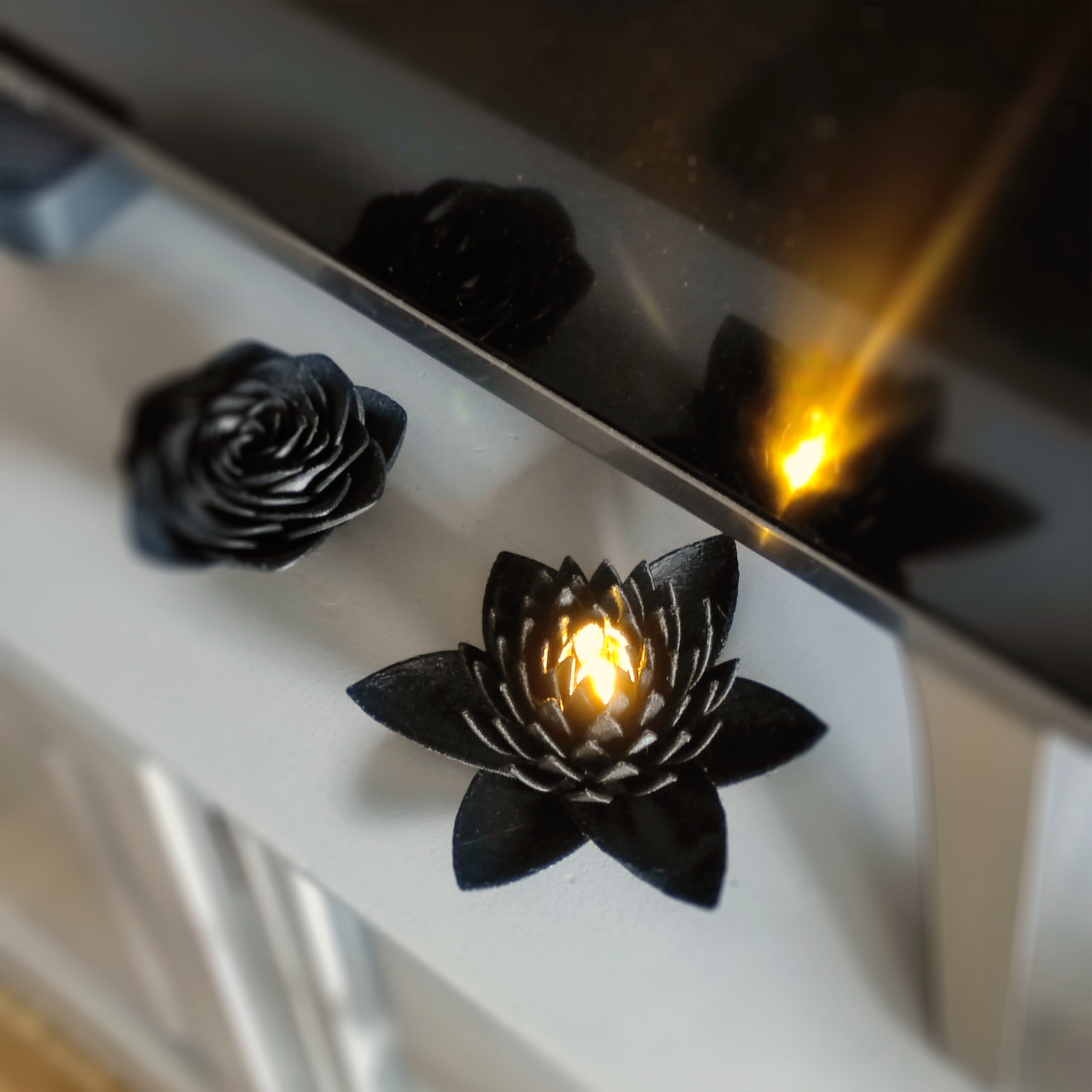 Luz de Loto Negra Ónice - Image 8